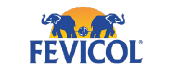 Fevicol